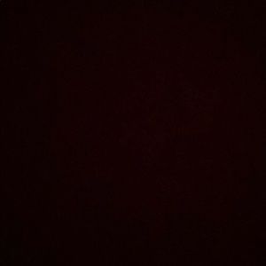 Meet your Posher, Tenzin